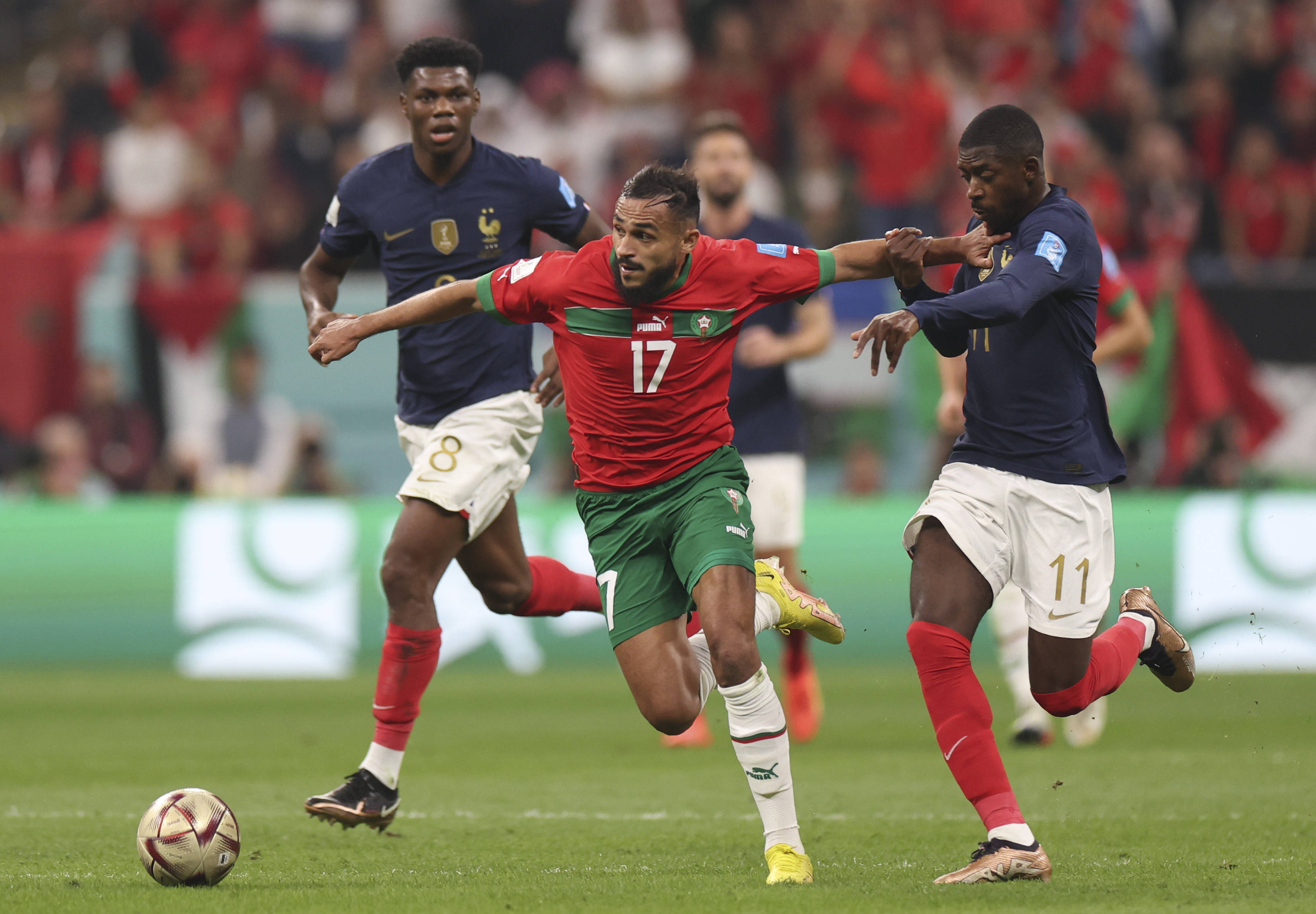 质与职业态 质与职业态