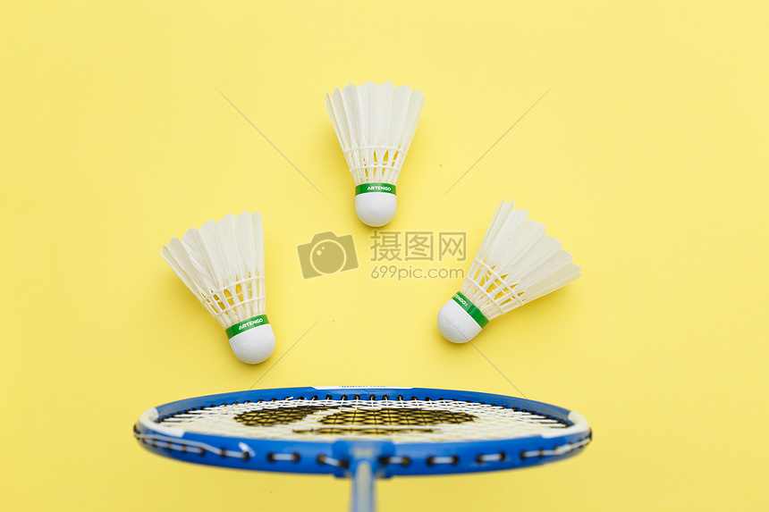 尽管灰熊队 尽管灰熊队